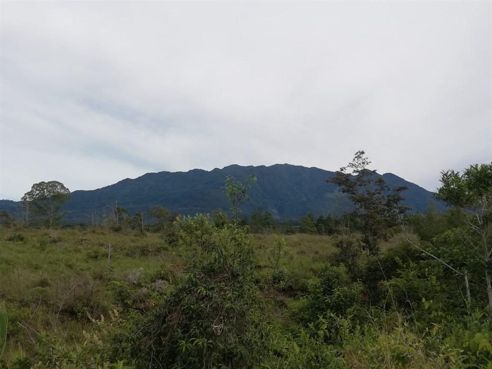 Amplios 5 Hectáreas en Venta en Alto Boquete