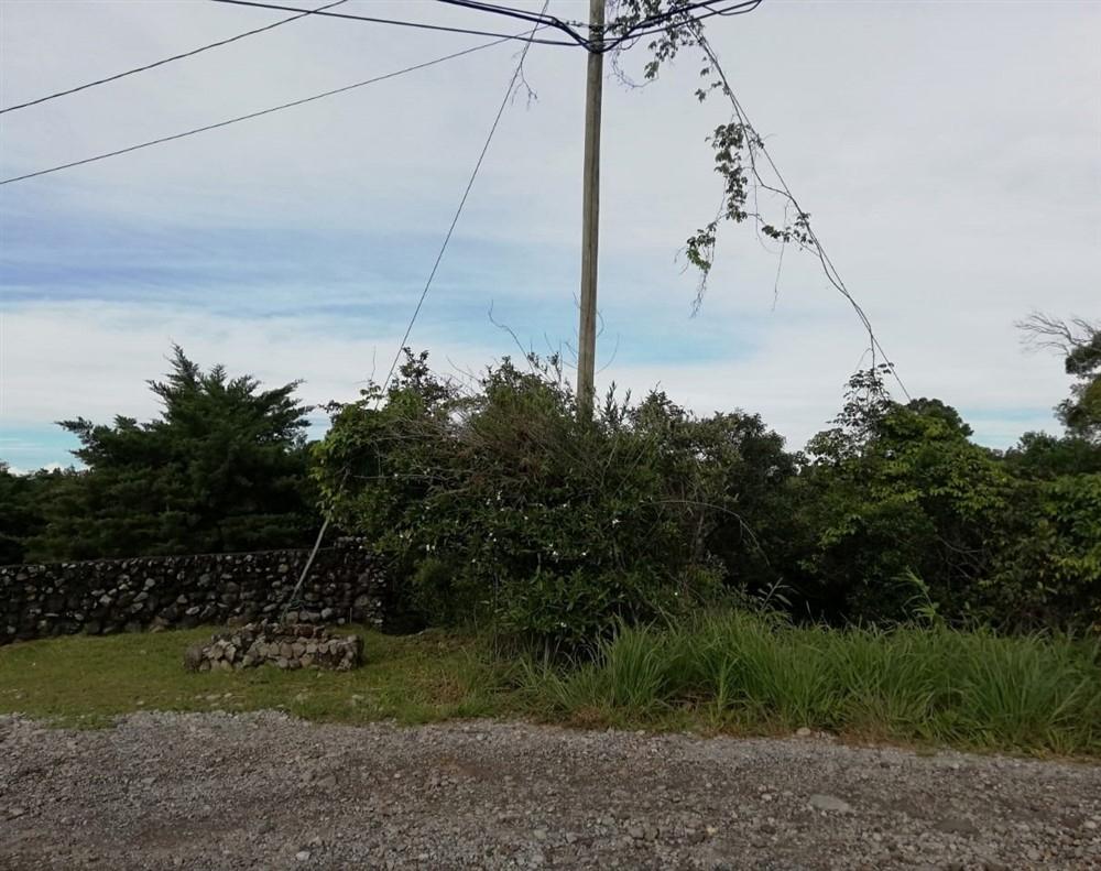 Amplios 5 Hectáreas en Venta en Alto Boquete