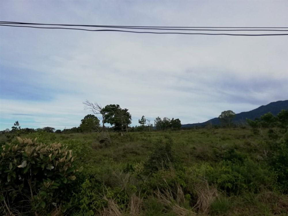 Amplios 5 Hectáreas en Venta en Alto Boquete