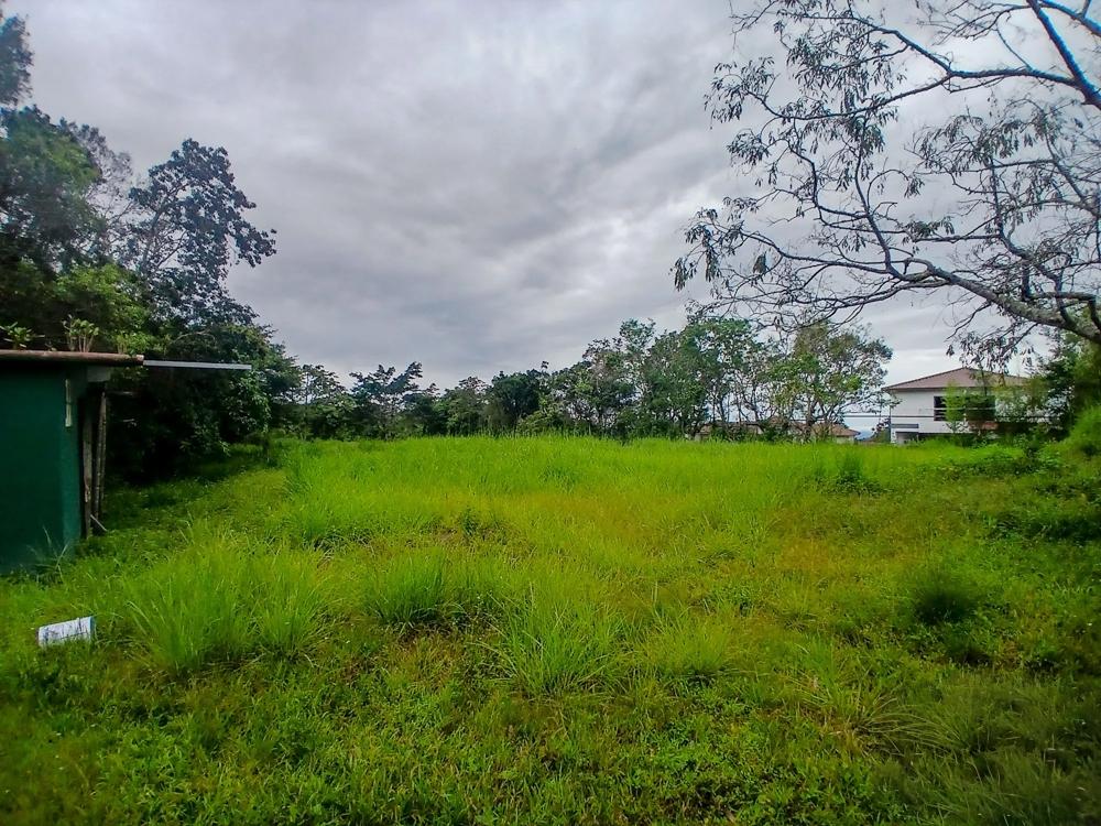 Amplio Terreno Plano de 9.229 m² en Alto Boquete