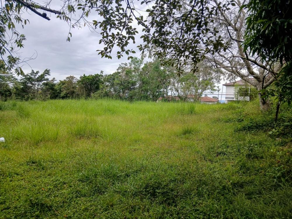 Amplio Terreno Plano de 9.229 m² en Alto Boquete