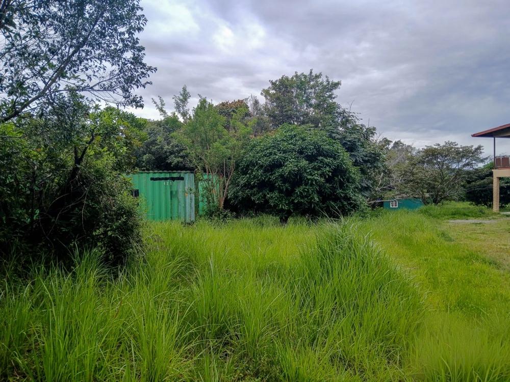 Amplio Terreno Plano de 9.229 m² en Alto Boquete