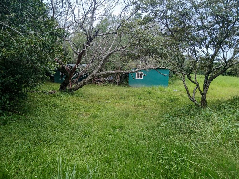 Amplio Terreno Plano de 9.229 m² en Alto Boquete