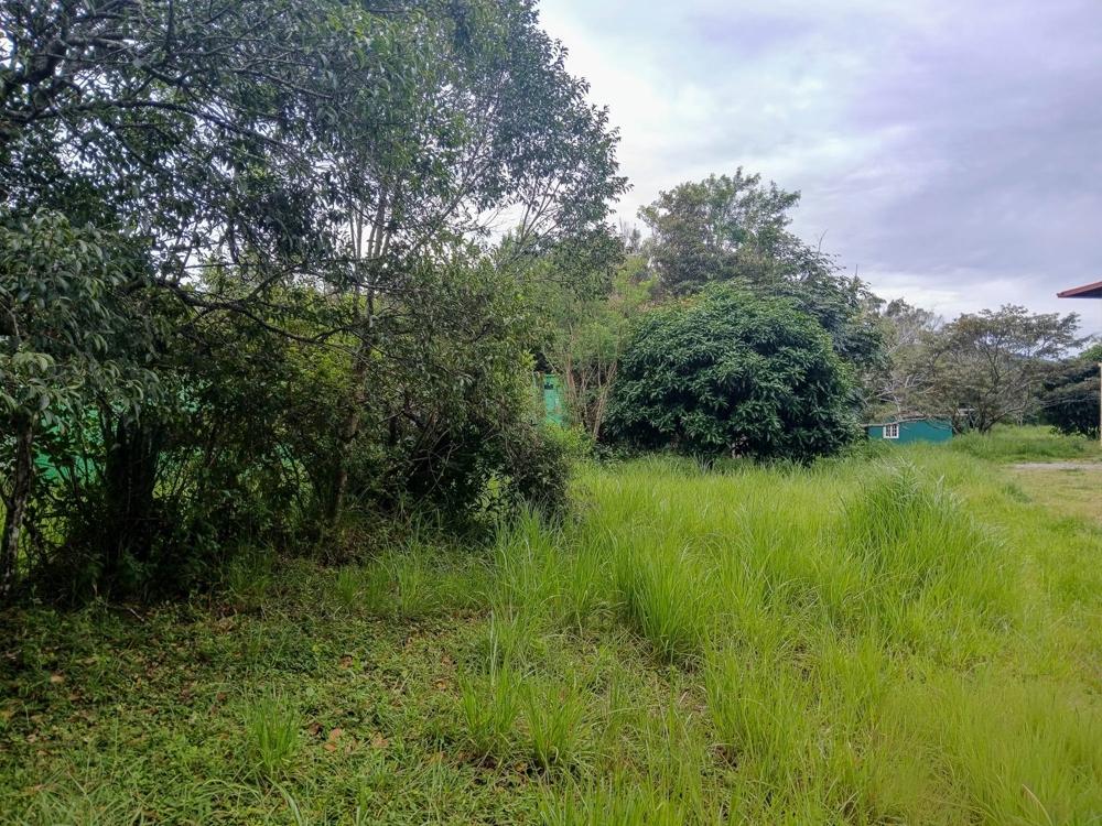 Amplio Terreno Plano de 9.229 m² en Alto Boquete