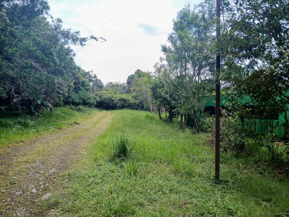 Amplio Terreno Plano de 9.229 m² en Alto Boquete