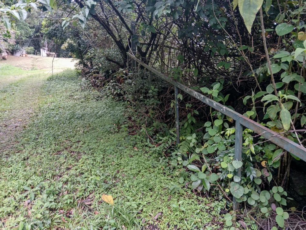 Amplio Terreno Plano de 9.229 m² en Alto Boquete