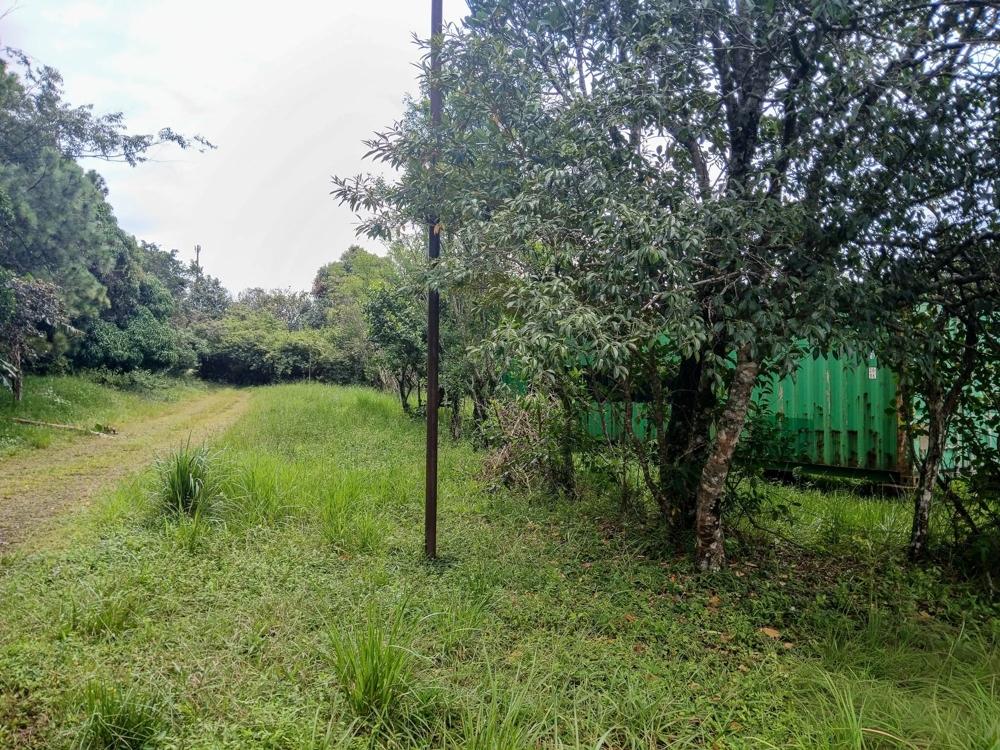 Amplio Terreno Plano de 9.229 m² en Alto Boquete