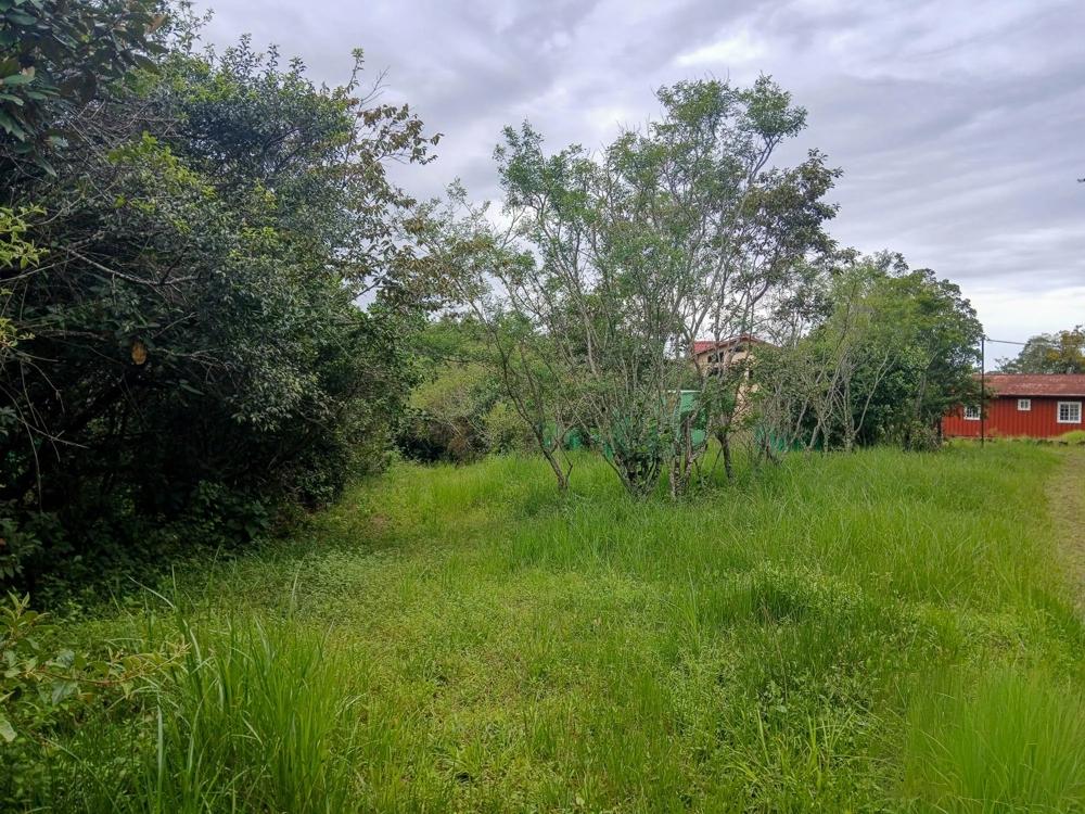 Amplio Terreno Plano de 9.229 m² en Alto Boquete