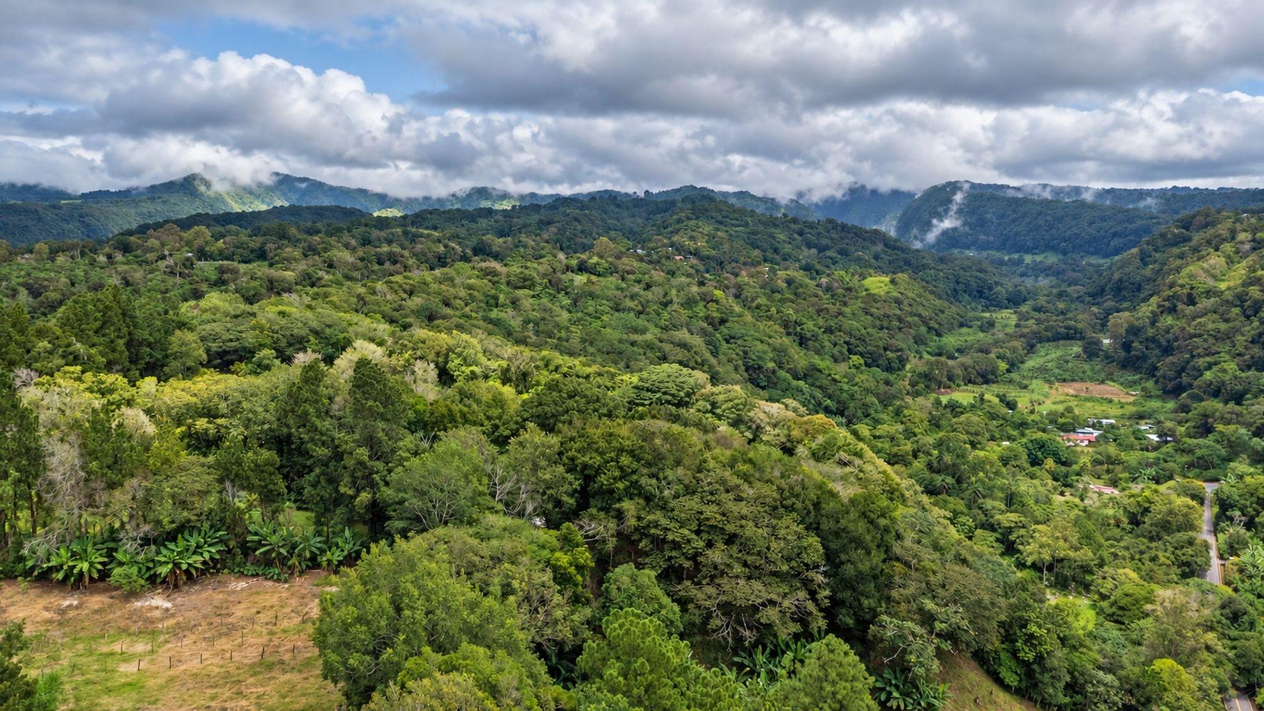 Terreno de 6.694 m² en Venta en Palmira Boquete