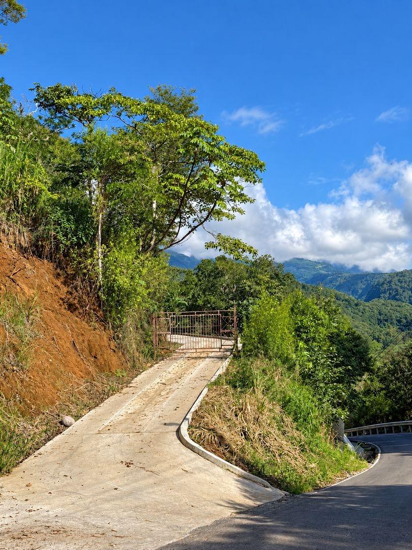 Terreno de 6.694 m² en Venta en Palmira Boquete