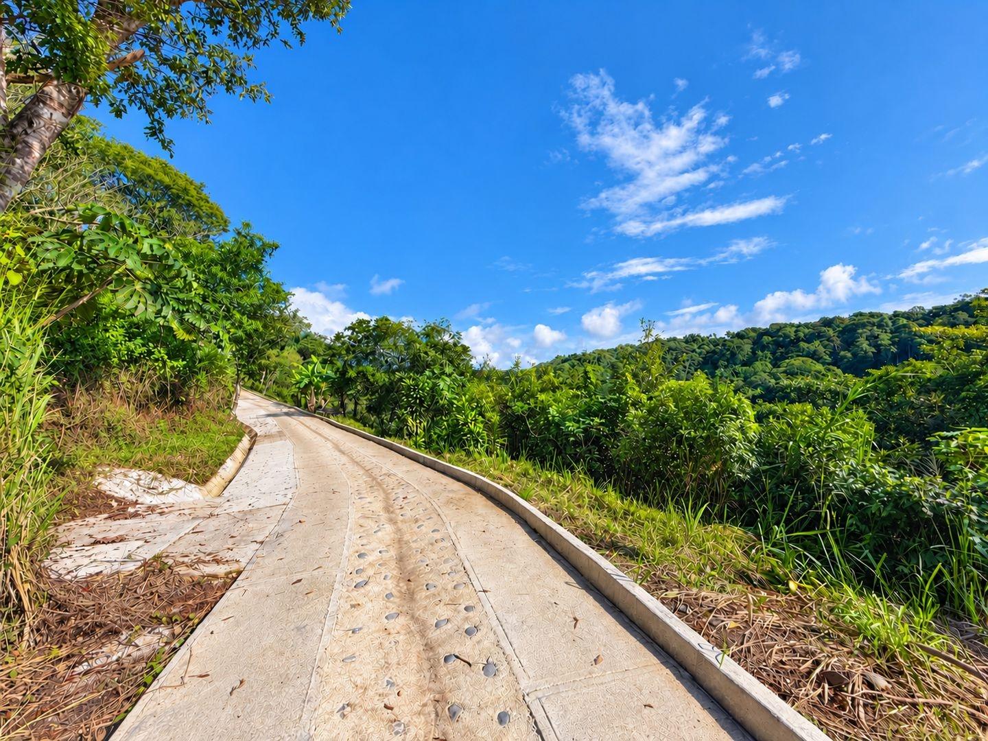 Terreno de 6.694 m² en Venta en Palmira Boquete