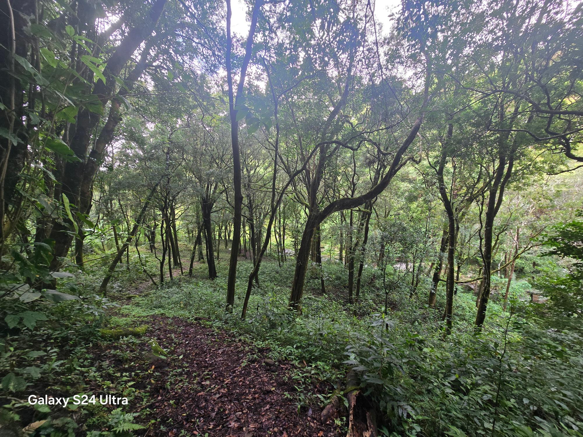 Terreno de 6,9 ha junto a Boquete Country Club — Venta de globo entero