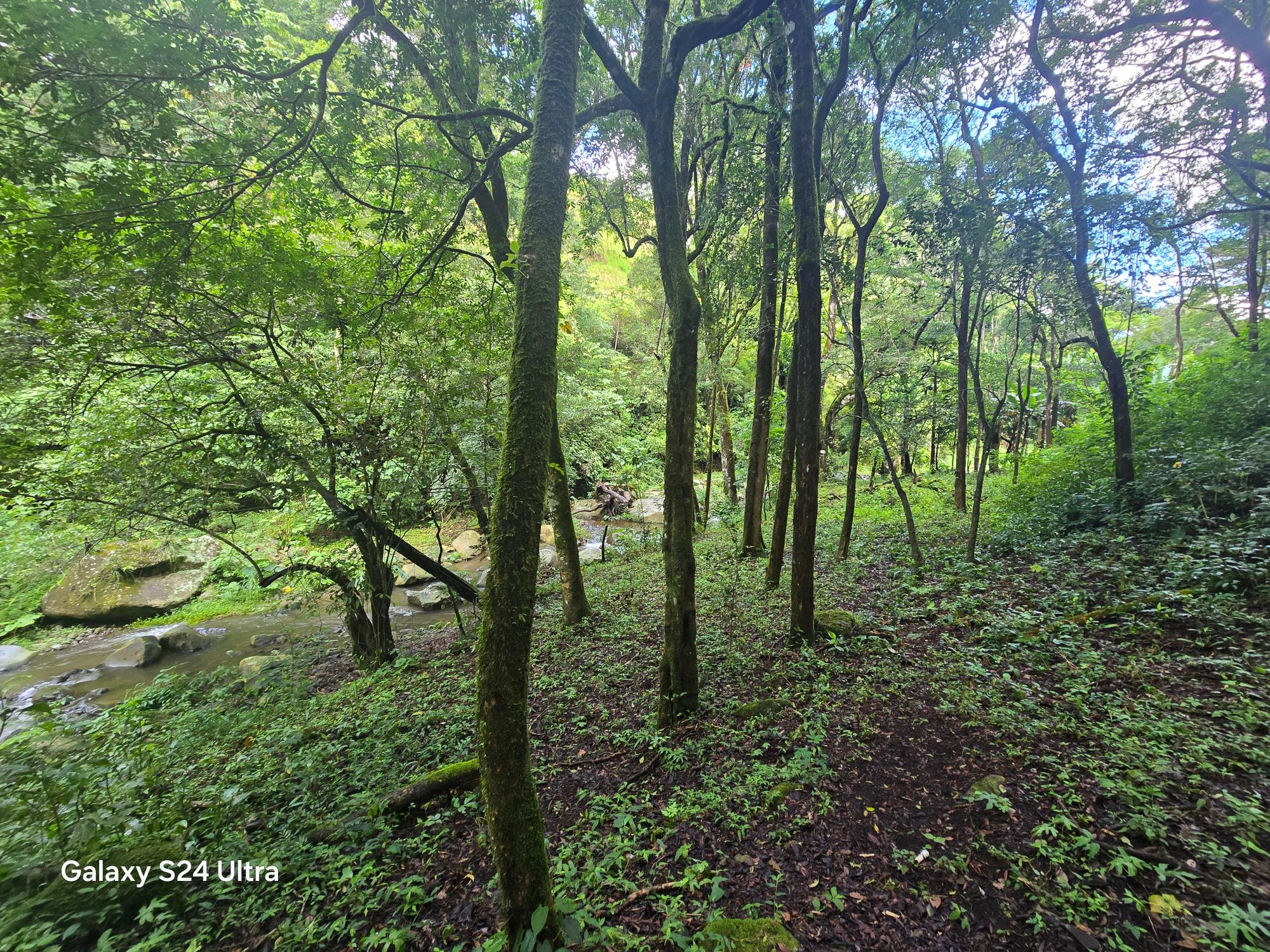 Terreno de 6,9 ha junto a Boquete Country Club — Venta de globo entero
