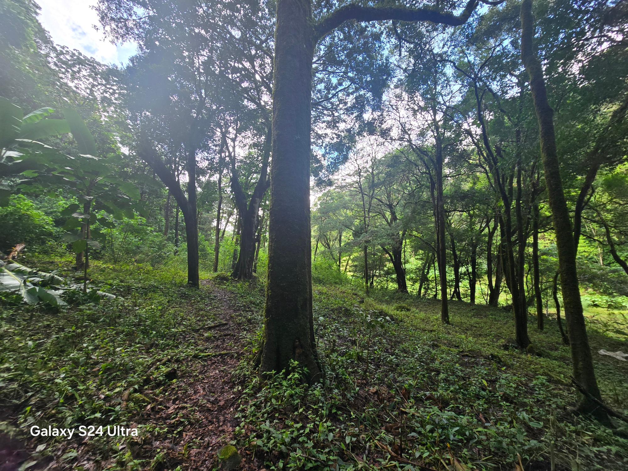 Terreno de 6,9 ha junto a Boquete Country Club — Venta de globo entero