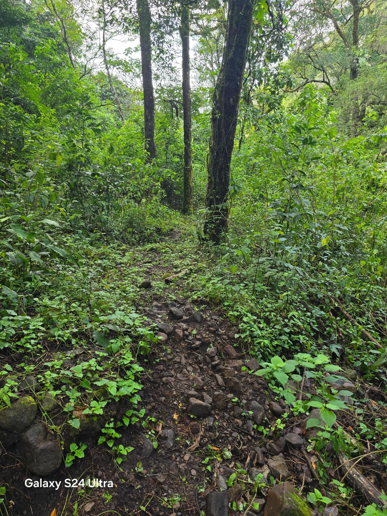 Terreno de 6,9 ha junto a Boquete Country Club — Venta de globo entero