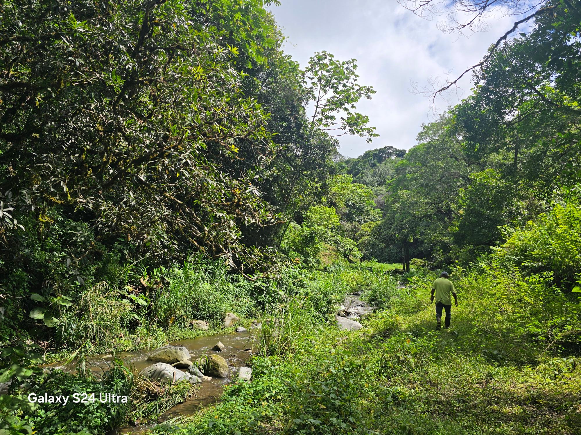 Terreno de 6,9 ha junto a Boquete Country Club — Venta de globo entero