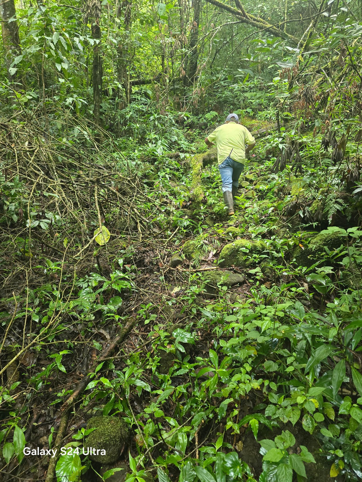 Terreno de 6,9 ha junto a Boquete Country Club — Venta de globo entero