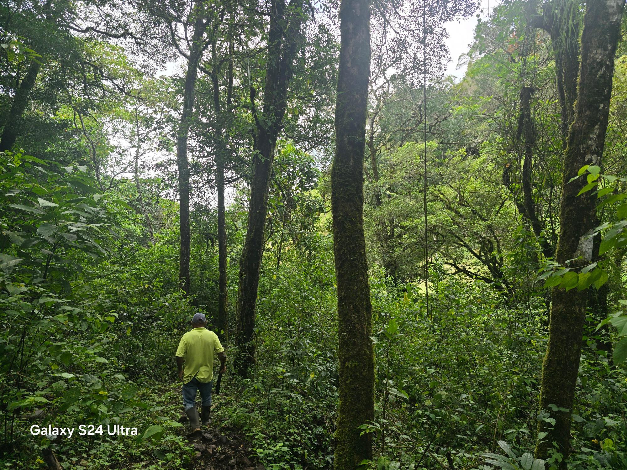 Terreno de 6,9 ha junto a Boquete Country Club — Venta de globo entero