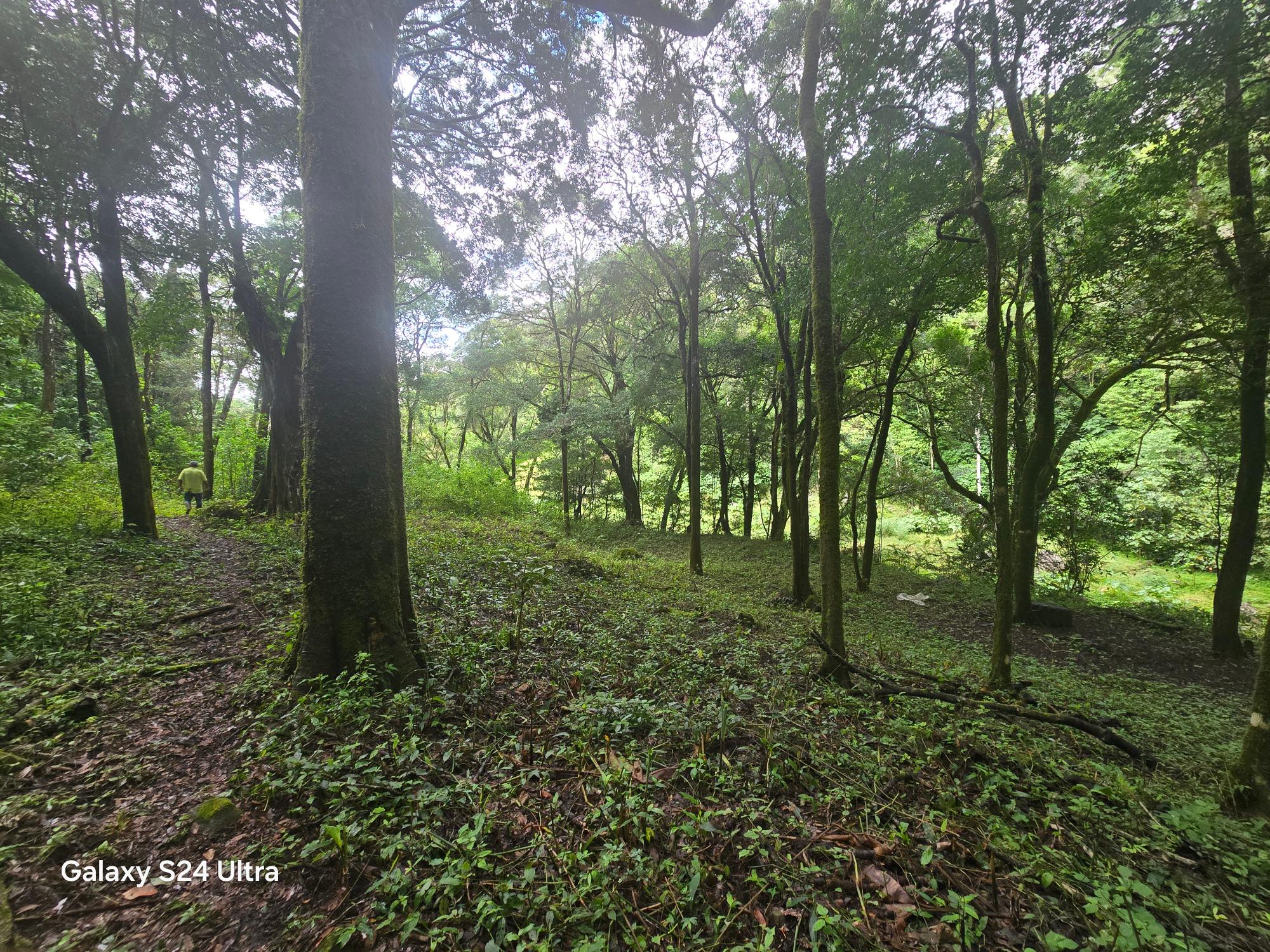 Terreno de 6,9 ha junto a Boquete Country Club — Venta de globo entero