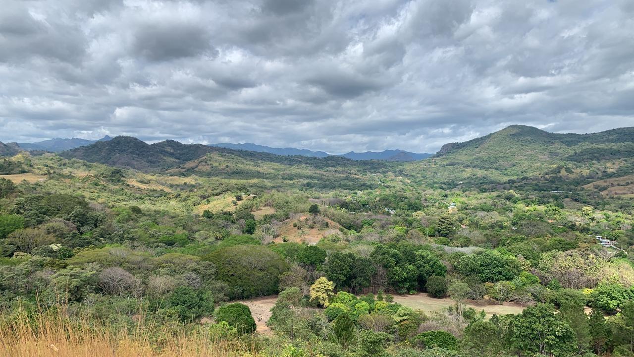 CHAME/BEJUCO TERRENO EN VENTA