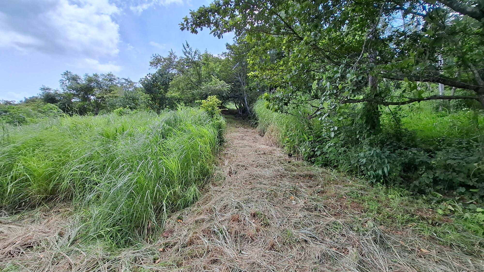 CHAME/BEJUCO TERRENO EN VENTA