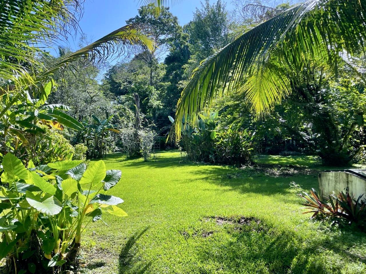 Hermosa Casa Tropical con Cabaña para Huéspedes y Piscina.