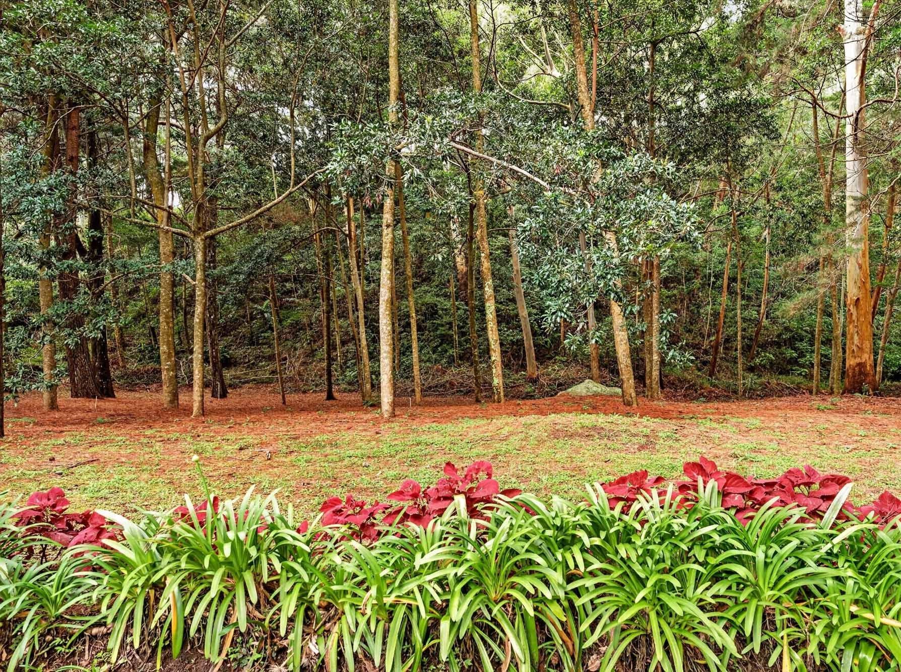 Finca familiar de 11 acres frente al río | Volcán, Panamá