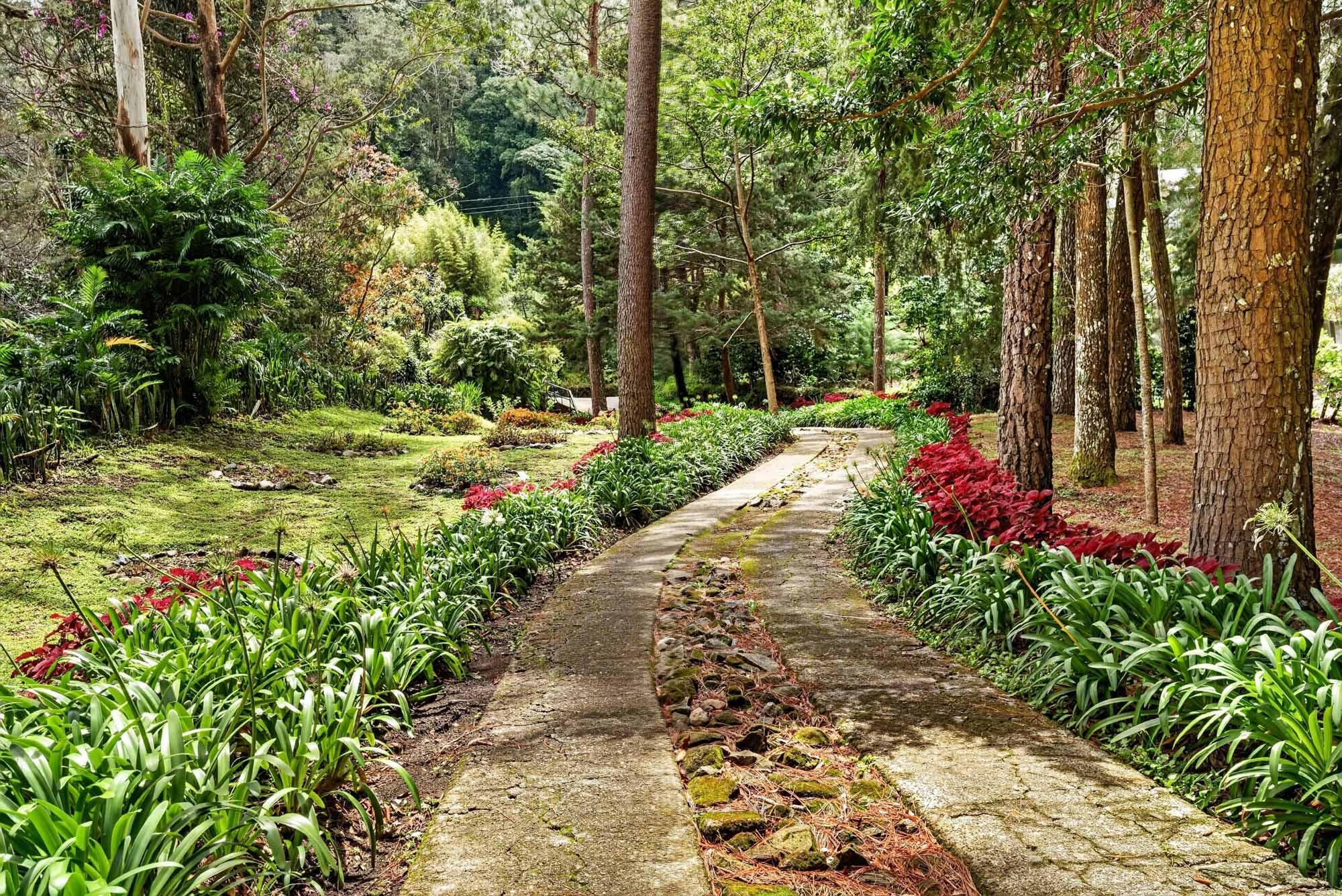 Finca familiar de 11 acres frente al río | Volcán, Panamá