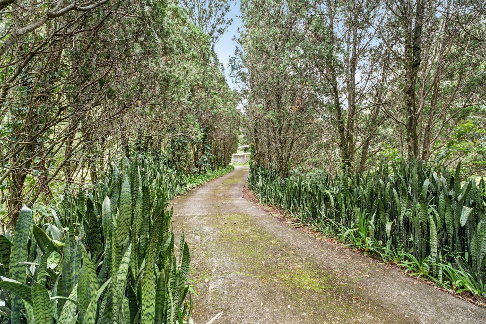 Finca familiar de 11 acres frente al río | Volcán, Panamá