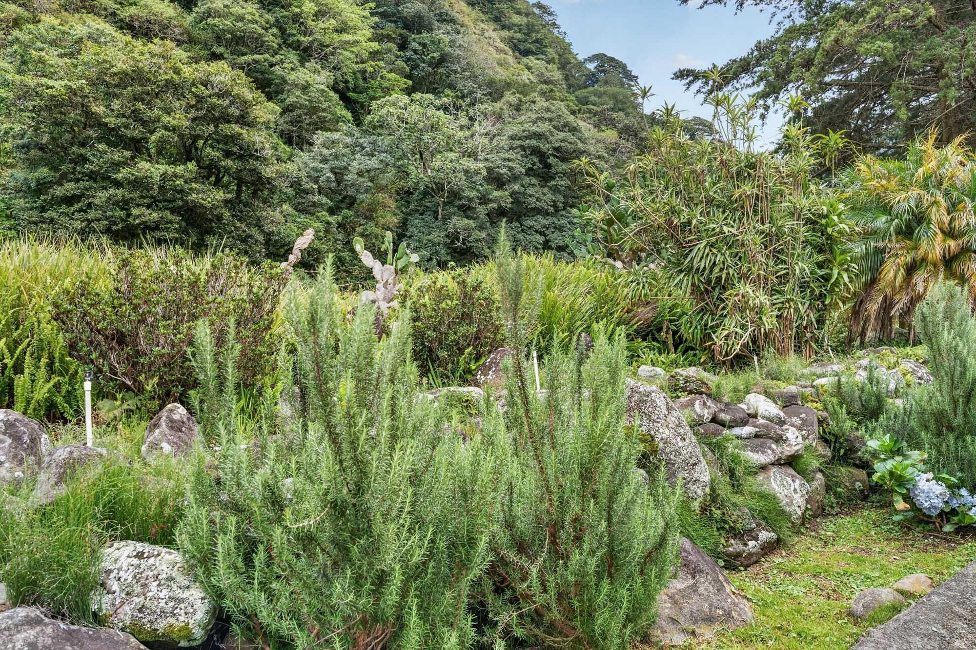 Finca familiar de 11 acres frente al río | Volcán, Panamá