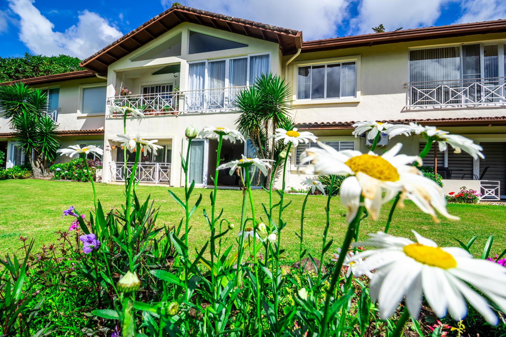 Condominio Planta Baja Monte Verde – Boquete