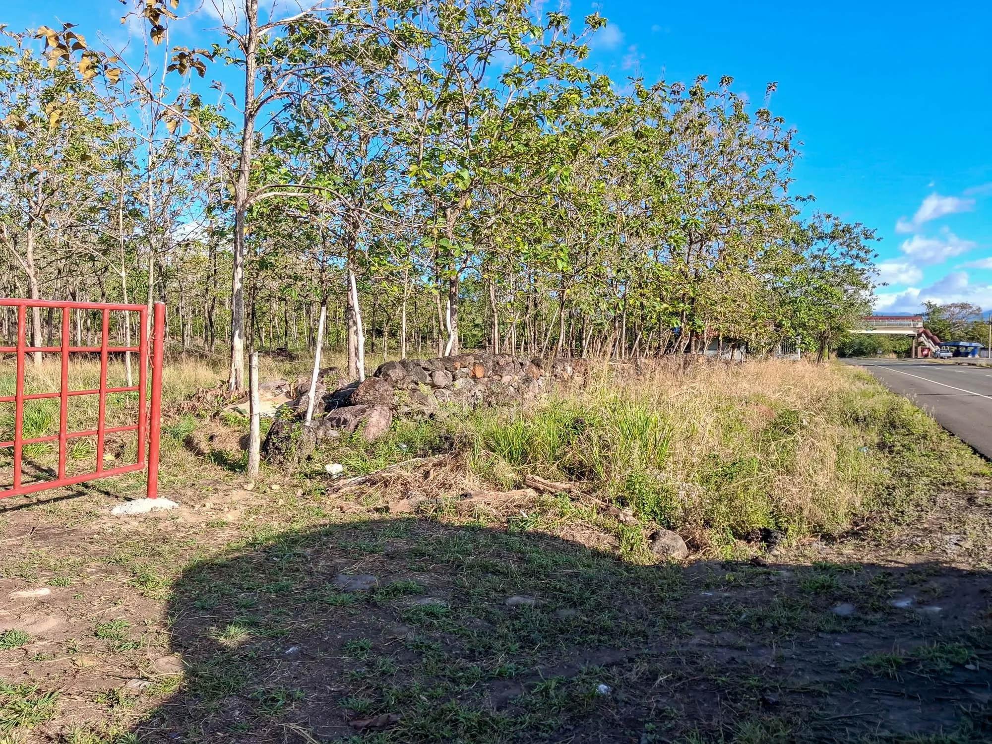 22,2 Hectáreas en Venta en El Francés