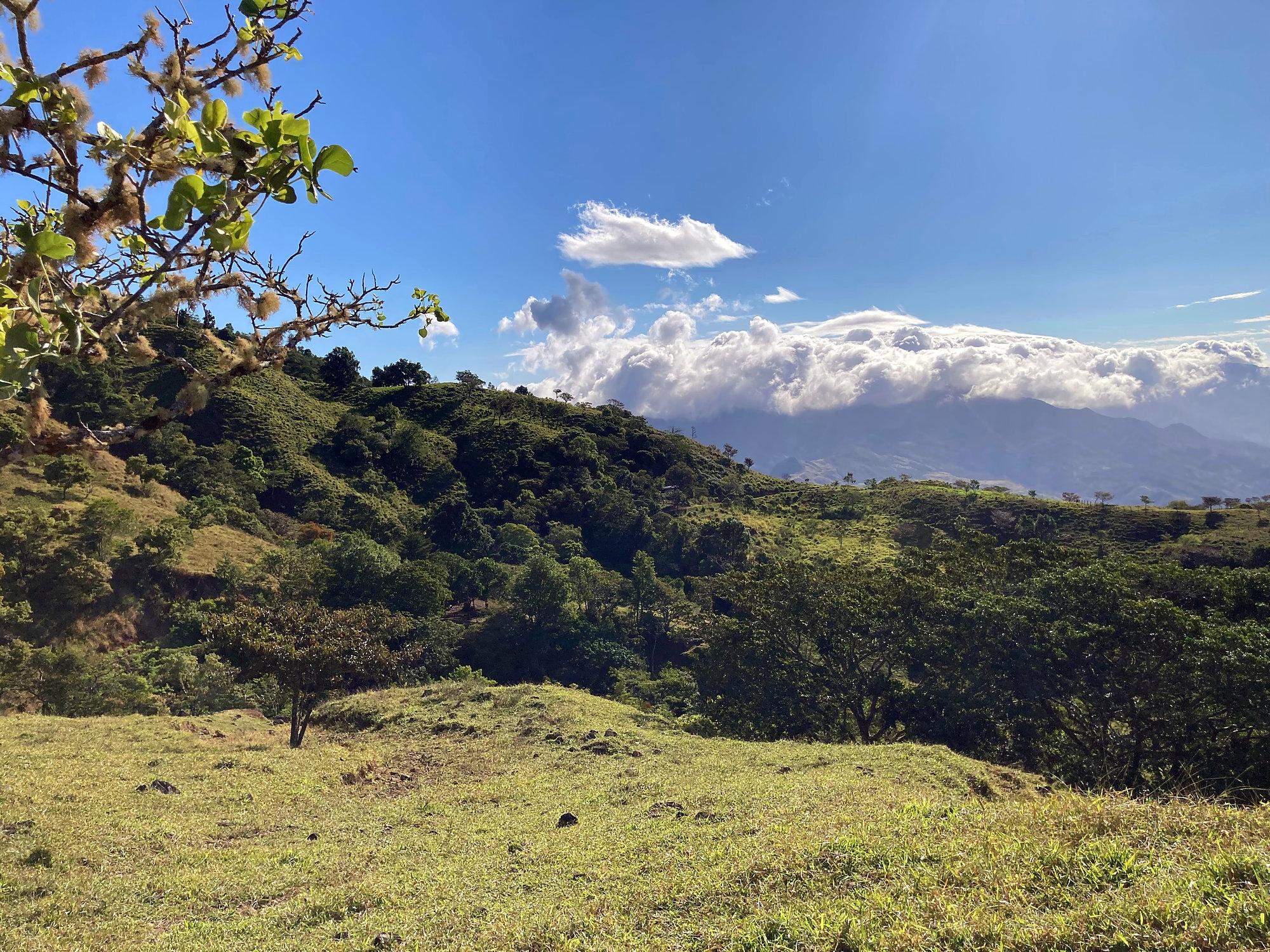 Finca ganadera o refugio privado con café y agua de nacimiento
