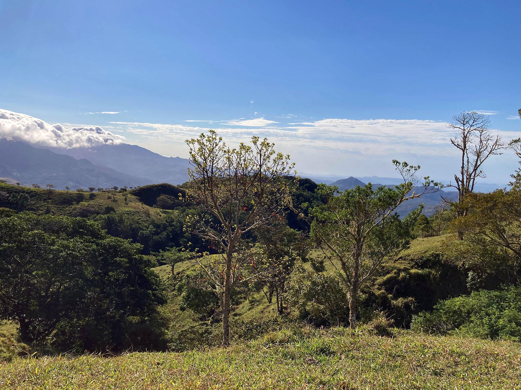 Finca ganadera o refugio privado con café y agua de nacimiento
