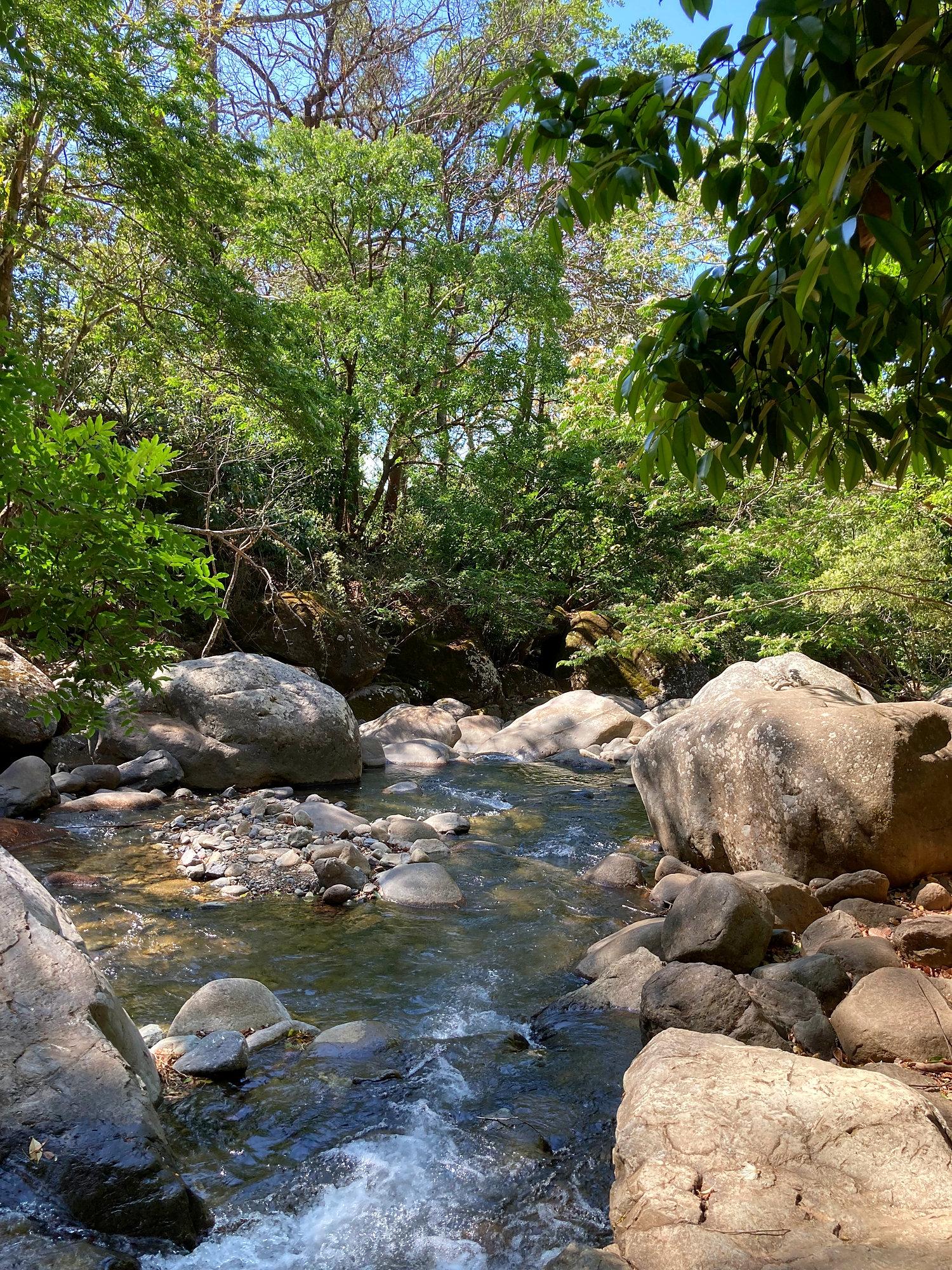 Finca ganadera o refugio privado con café y agua de nacimiento