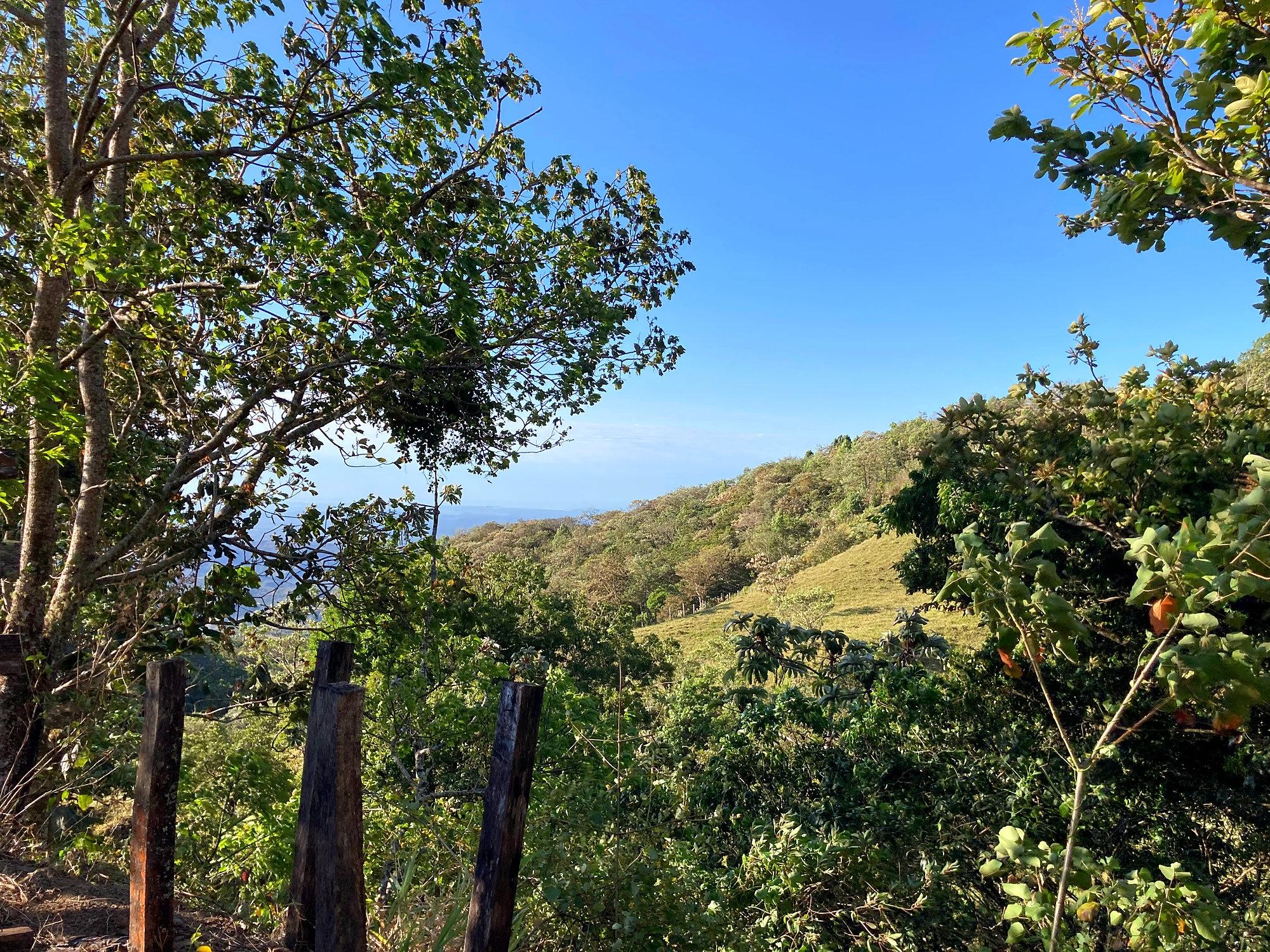 Finca ganadera o refugio privado con café y agua de nacimiento