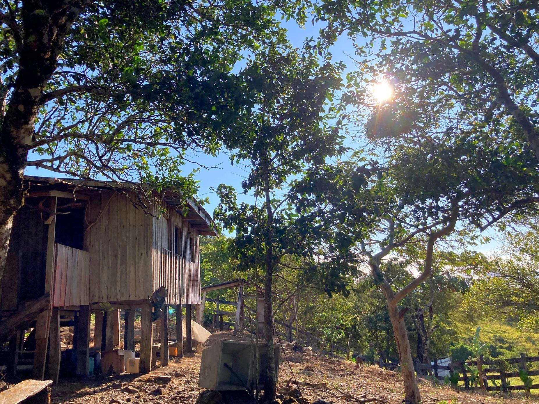 Finca ganadera o refugio privado con café y agua de nacimiento