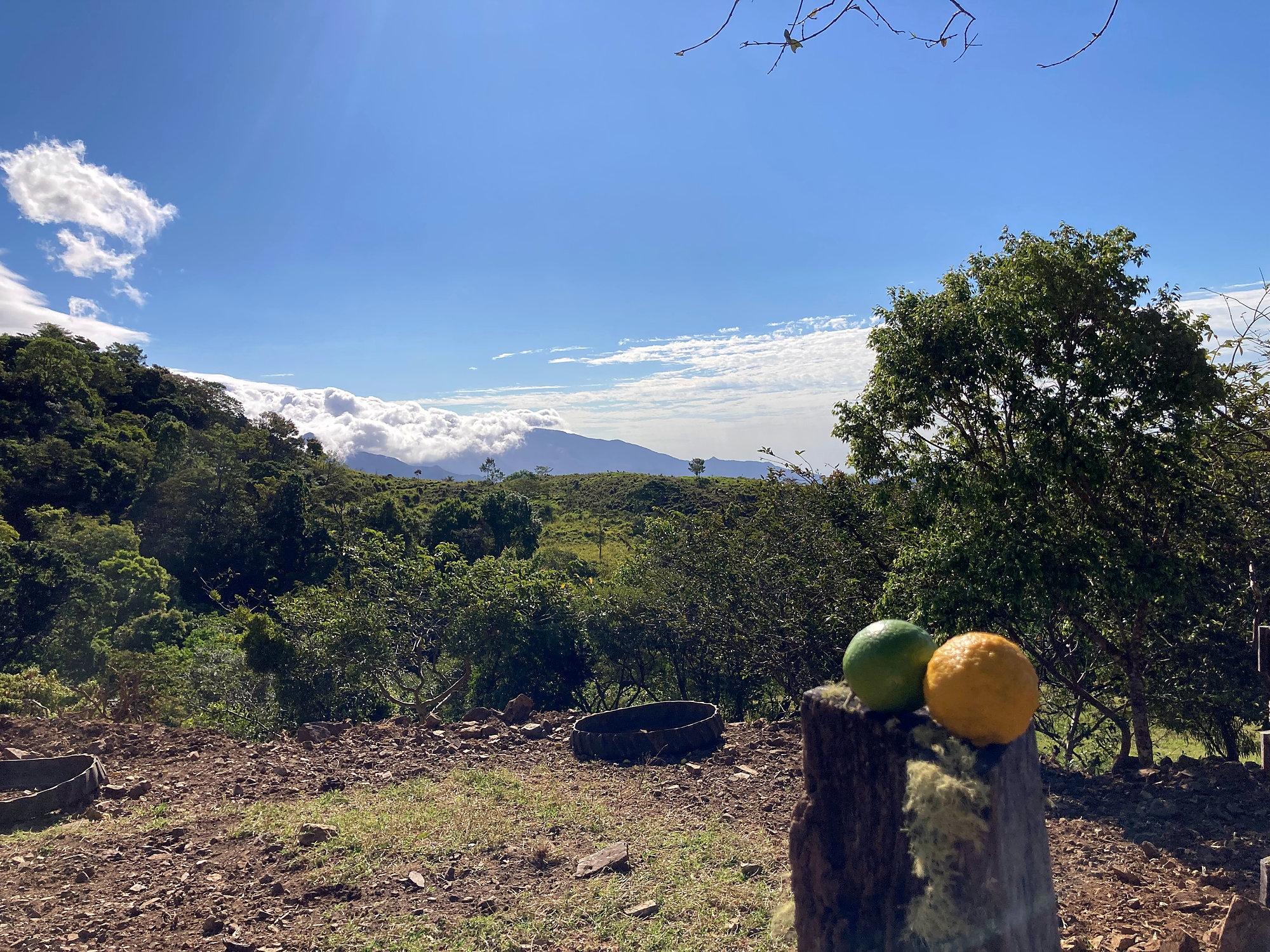 Finca ganadera o refugio privado con café y agua de nacimiento