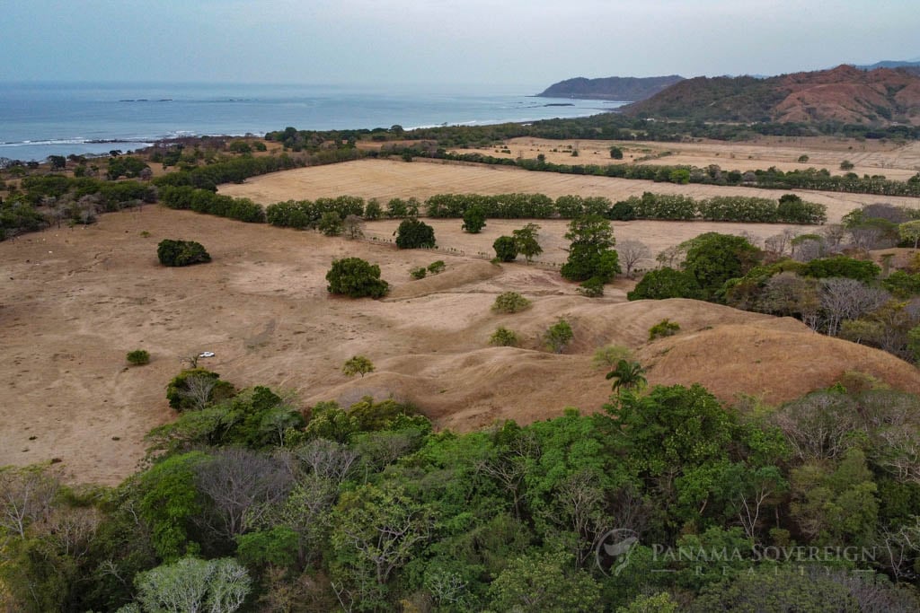 Aerial view of a coastal landscape with a combination of dry, brownish land and some green patches. The land gradually slopes down towards the ocean, which is visible in the background with some small islands or rocks near the shore. The foreground features hilly terrain with sparse trees.