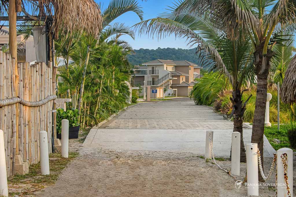 Pathway lined with palm trees and bamboo fencing leading toward residential buildings in the background.