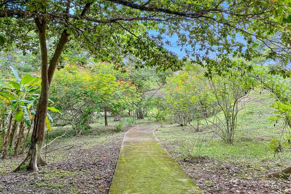 property_image
