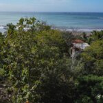 Oceanview from elevated lot with treetop canopy and nearby beach visible beyond palm trees.