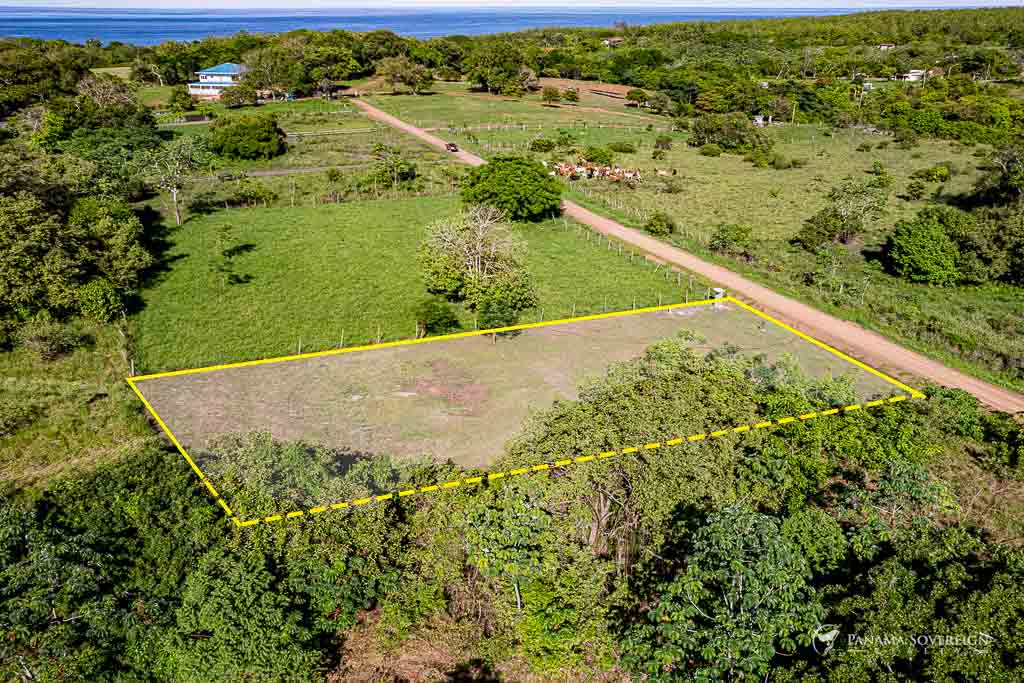 Marked land parcel in rural setting, showing rectangular boundaries and flat topography with partial shade from adjacent trees.