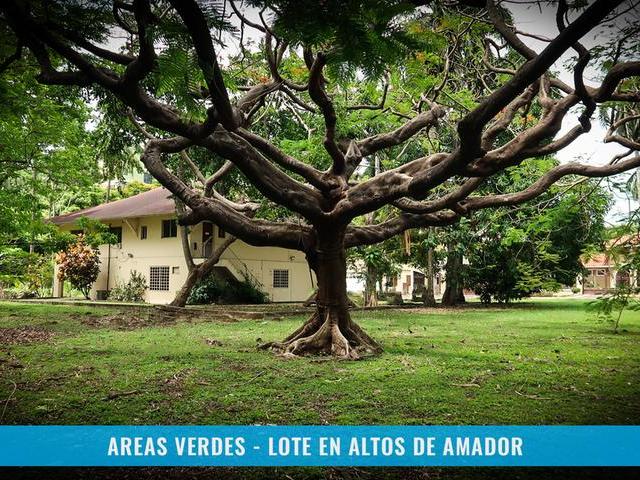 LOT IN ALTOS DE AMADOR WITH TWO LEVELS HOUSE