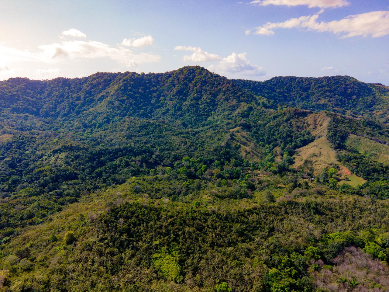 Beautiful Farm in Quebrada Bonita Colón