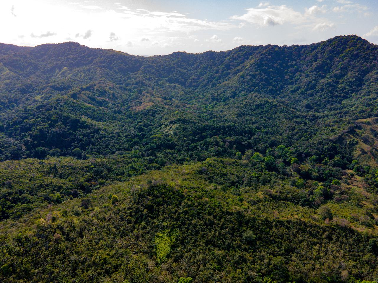 Beautiful Farm in Quebrada Bonita Colón