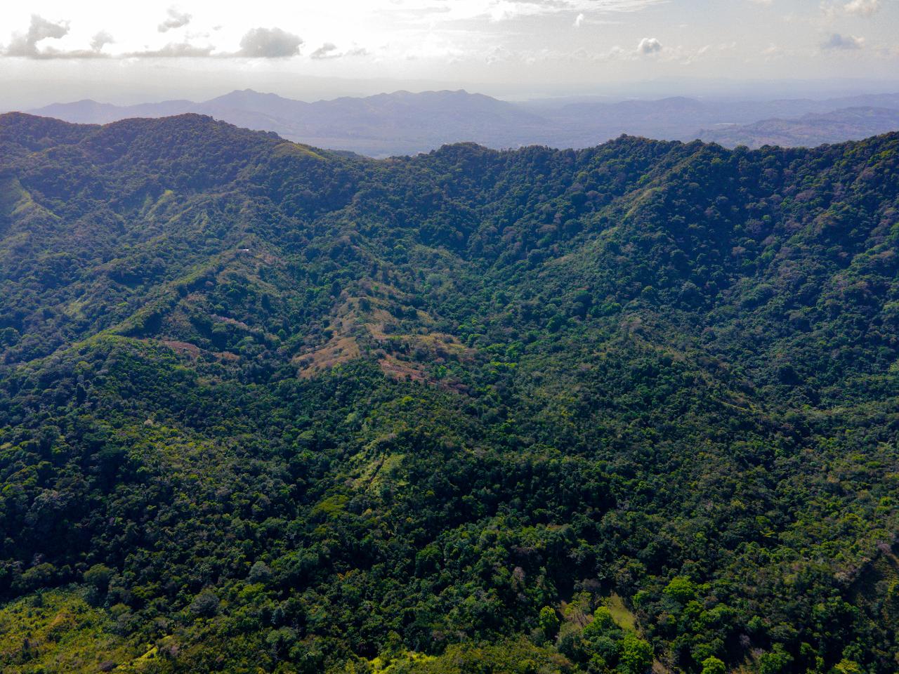 Beautiful Farm in Quebrada Bonita Colón