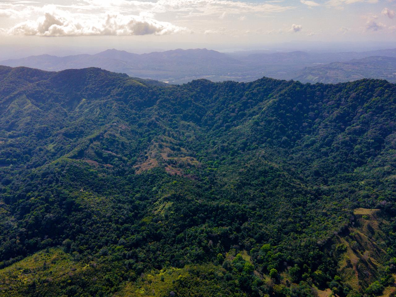 Beautiful Farm in Quebrada Bonita Colón