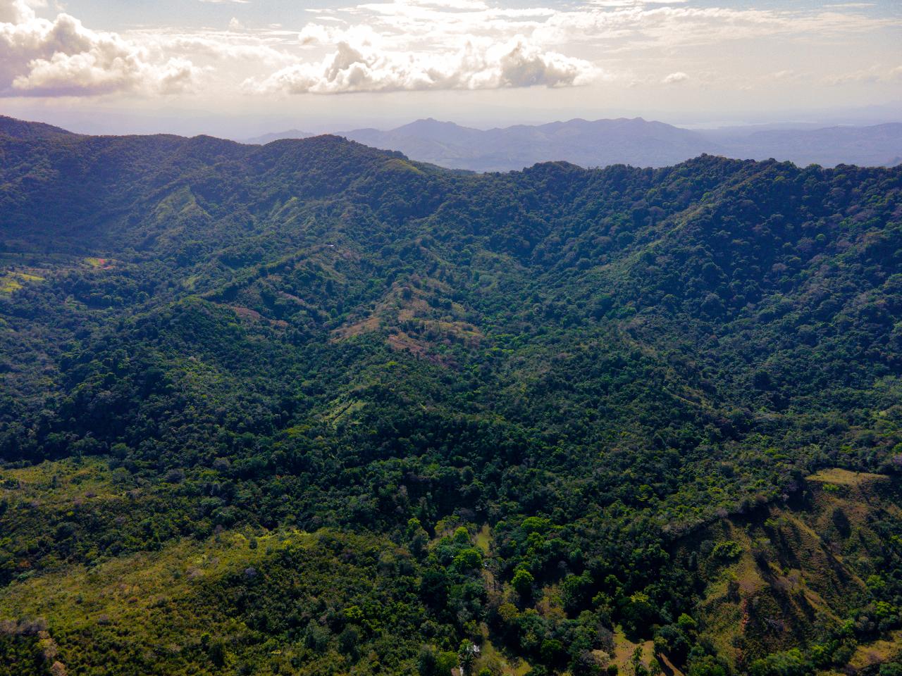 Beautiful Farm in Quebrada Bonita Colón