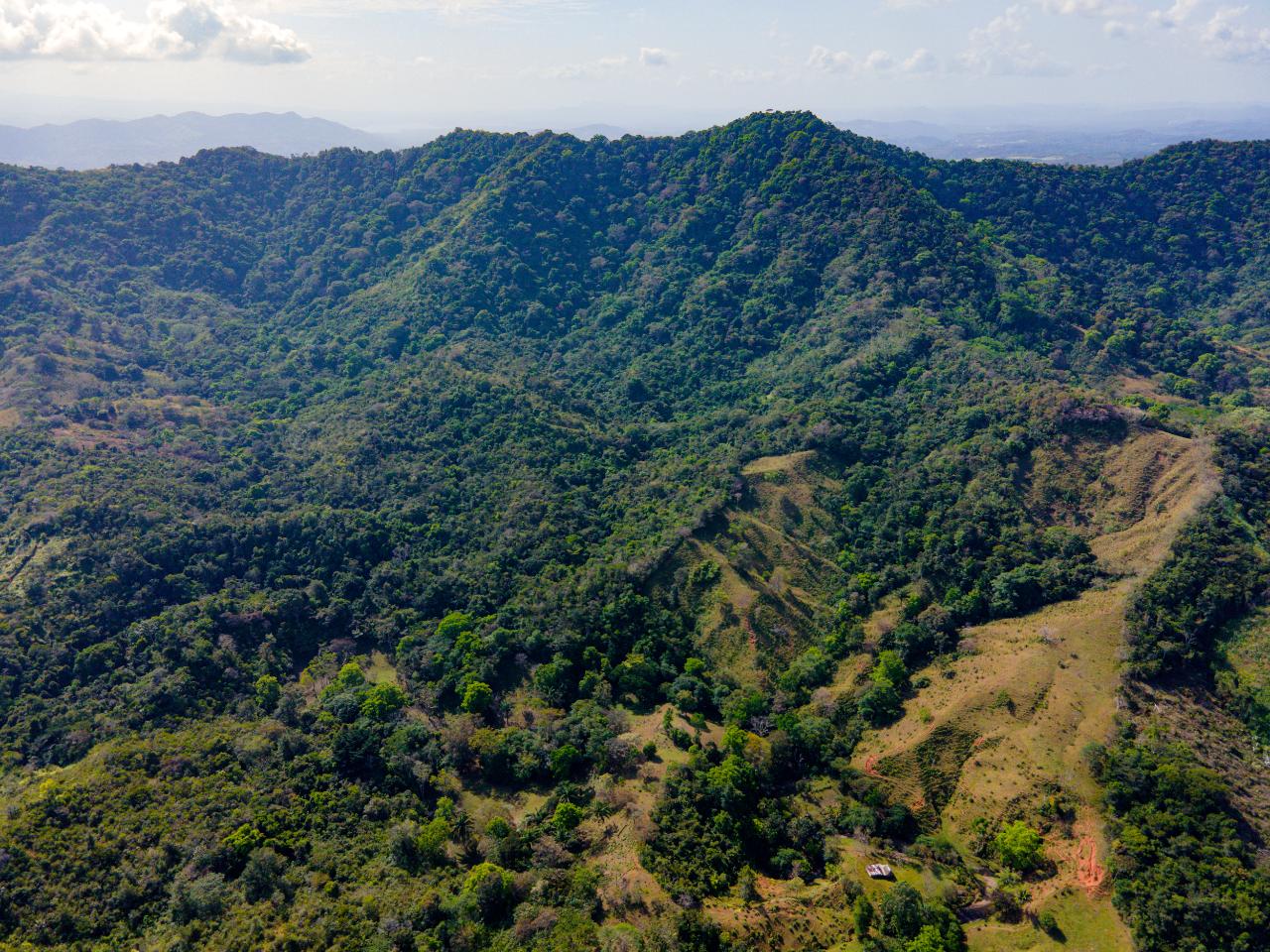 Beautiful Farm in Quebrada Bonita Colón